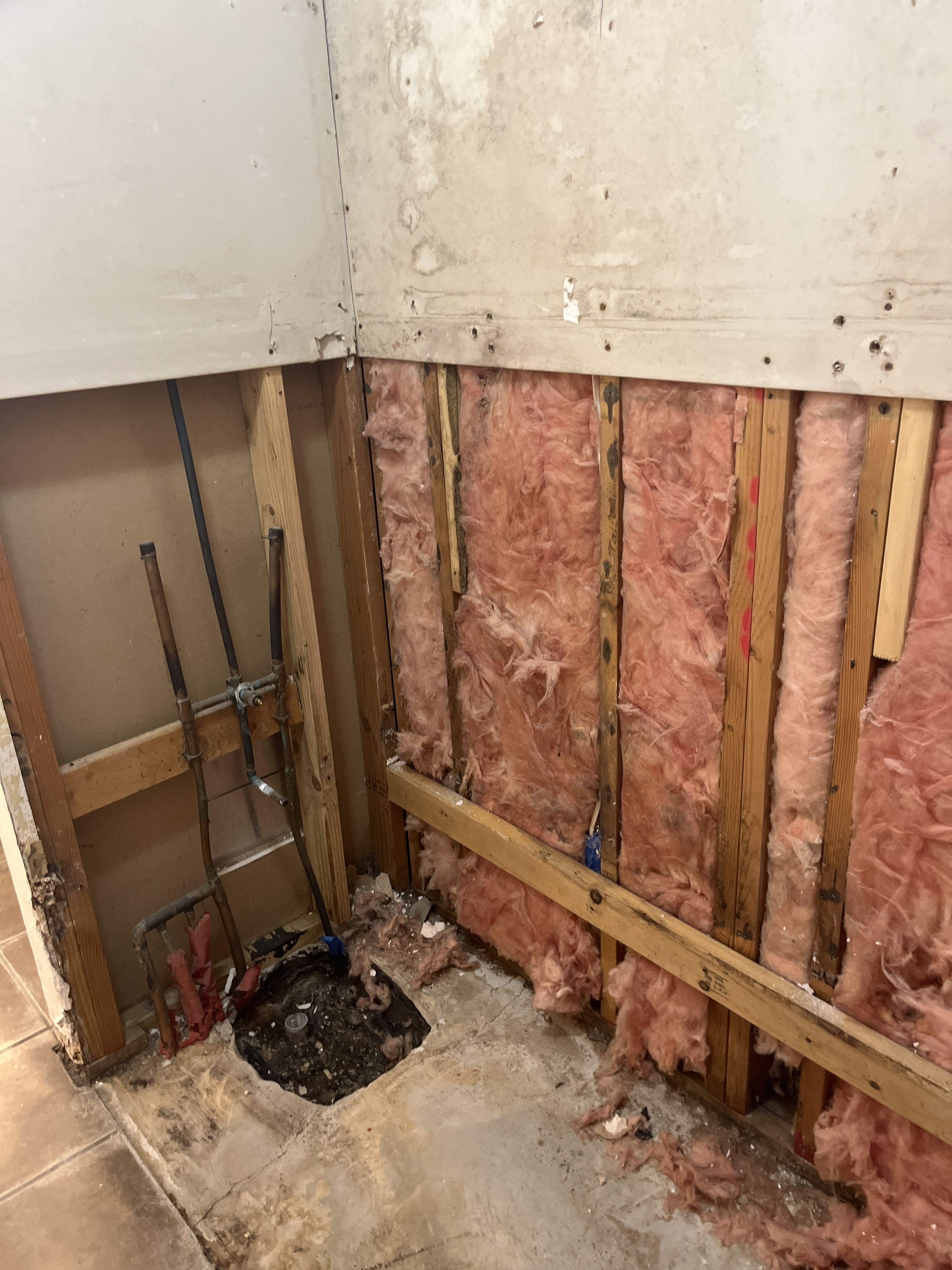 Bathroom gutted before rebuild